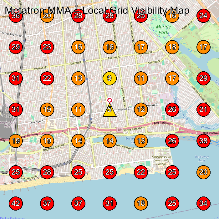 Metatron MMA GeoGrid visibility map for Martial Arts School in Brooklyn